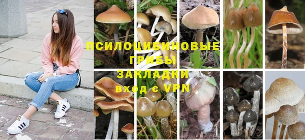 ешки Алзамай
