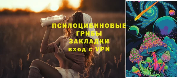 ешки Алзамай