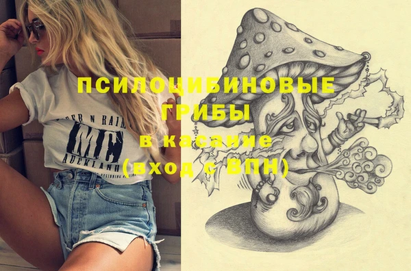 ешки Алзамай