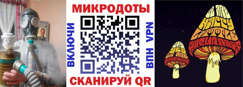 где купить наркоту  Козловка  Галлюциногенные грибы прущие грибы 